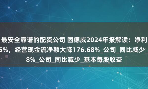最安全靠谱的配资公司 固德威2024年报解读：净利润暴跌107.25%，经营现金流净额大降176.68%_公司_同比减少_基本每股收益